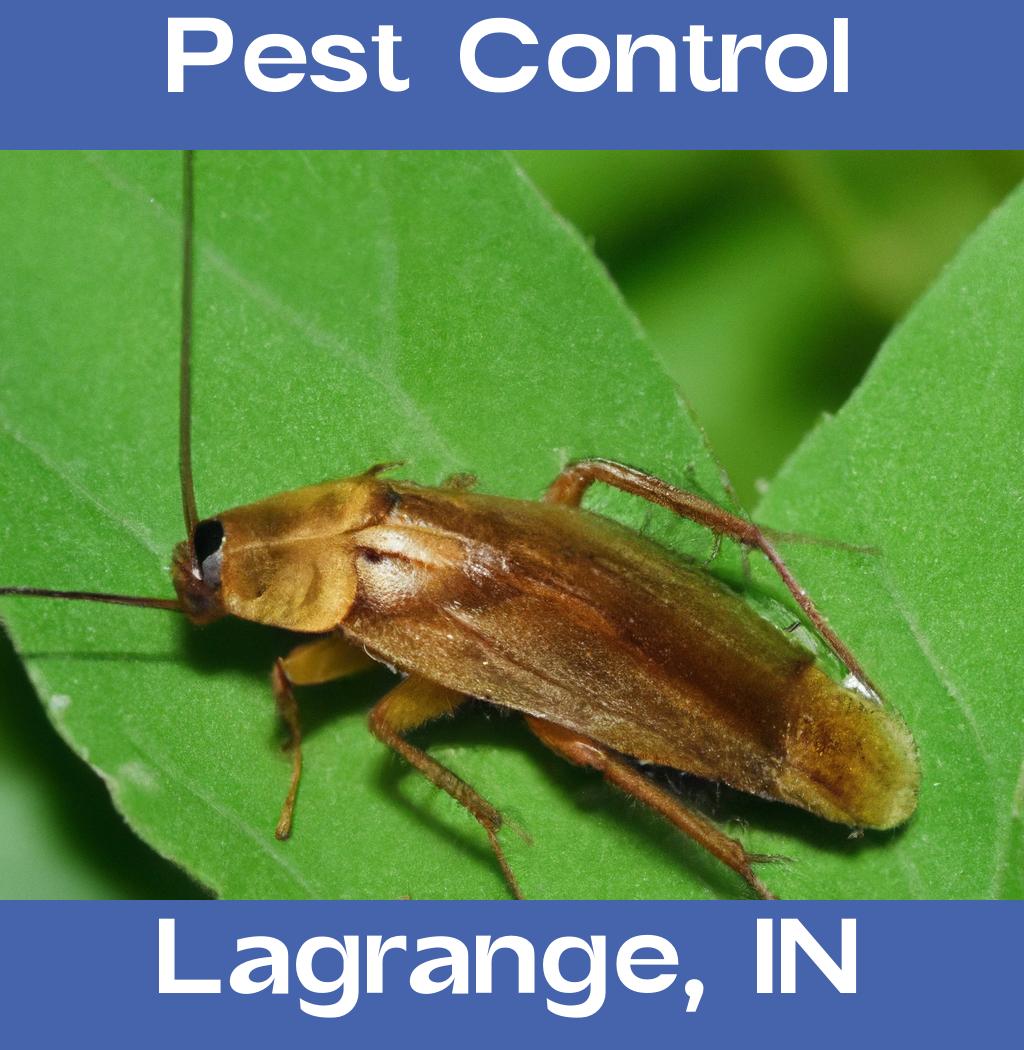 pest control in Lagrange Indiana