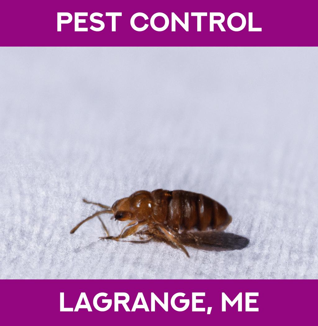 pest control in Lagrange Maine