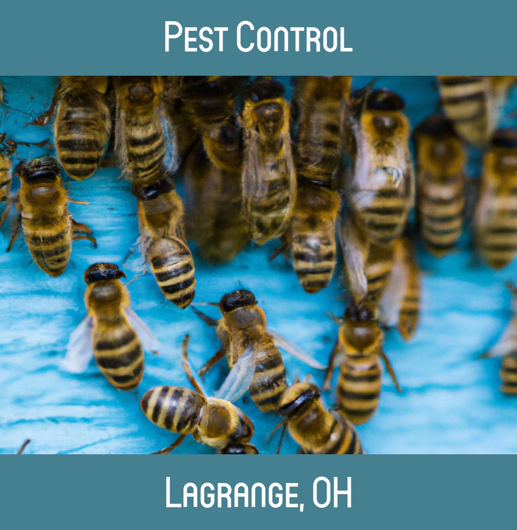 pest control in Lagrange Ohio