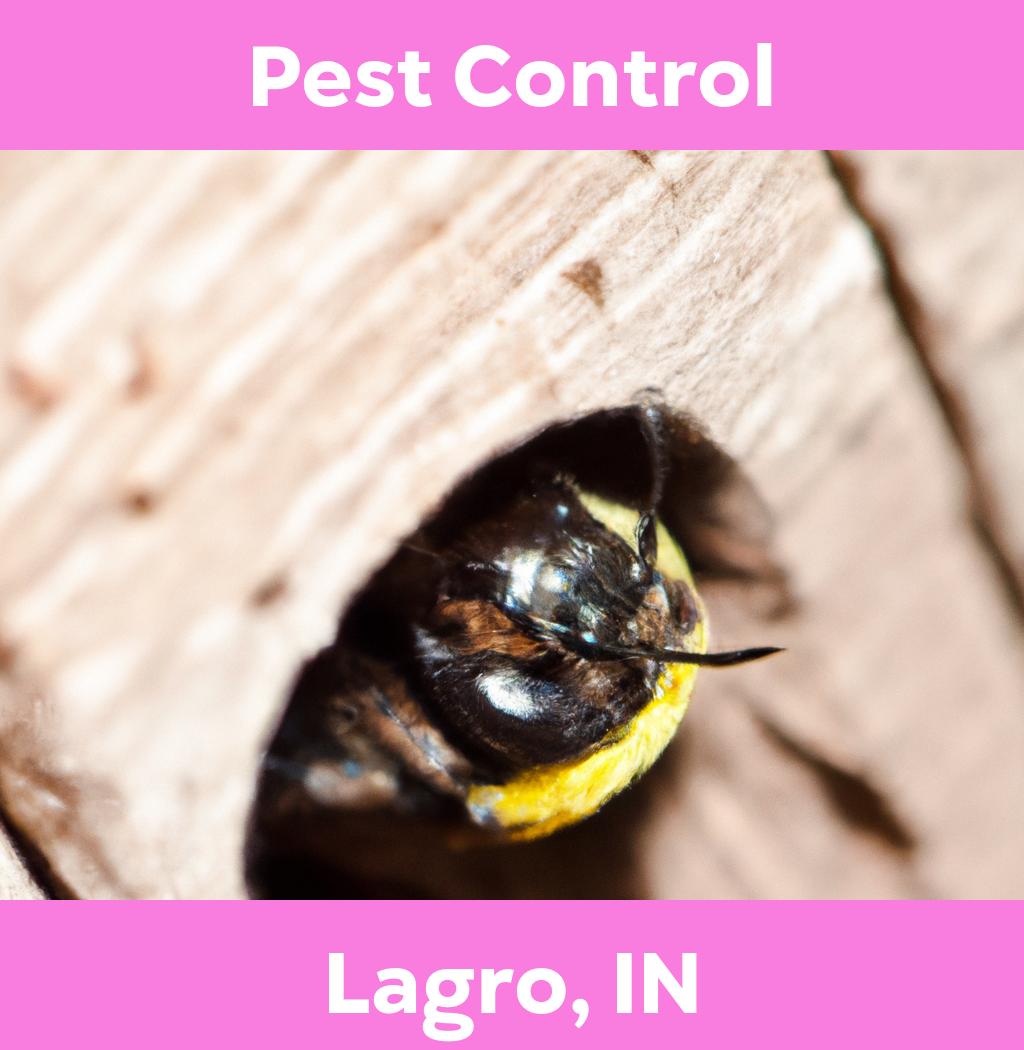pest control in Lagro Indiana