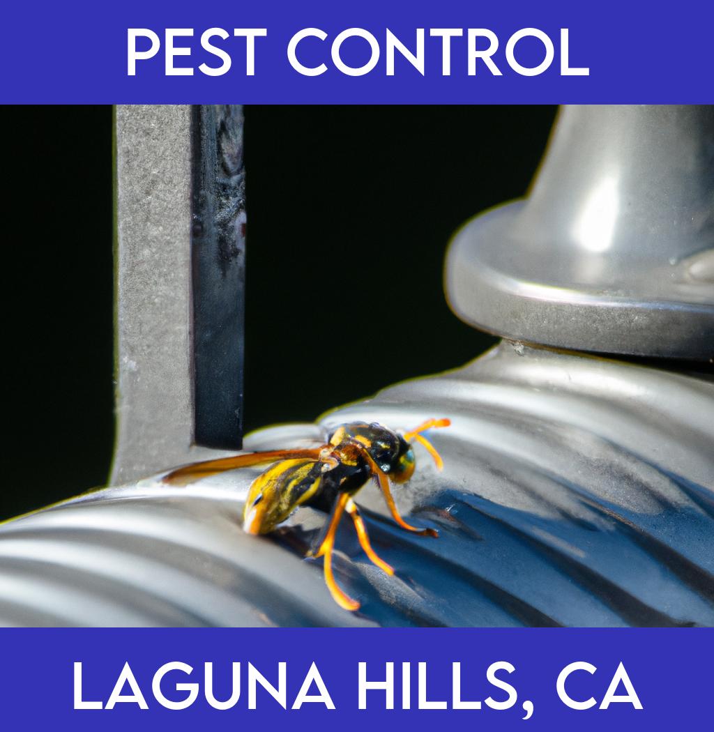 pest control in Laguna Hills California