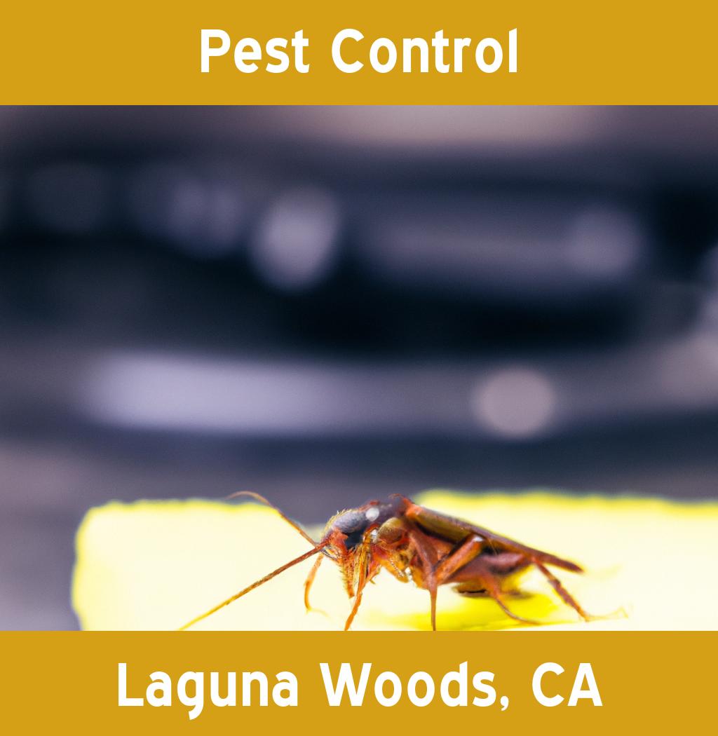 pest control in Laguna Woods California