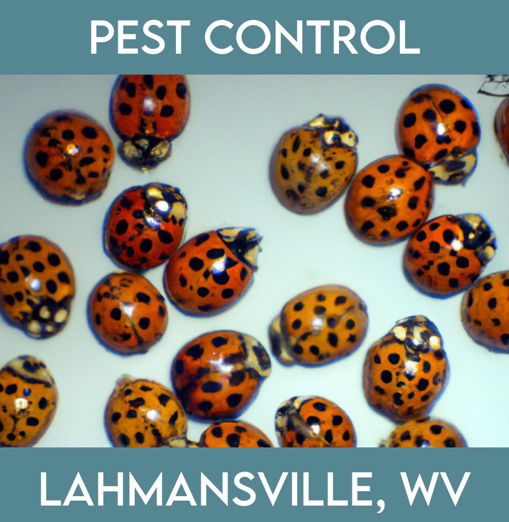 pest control in Lahmansville West Virginia