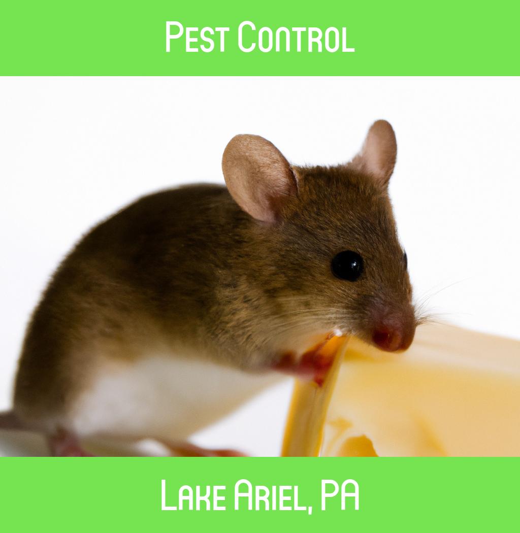 pest control in Lake Ariel Pennsylvania