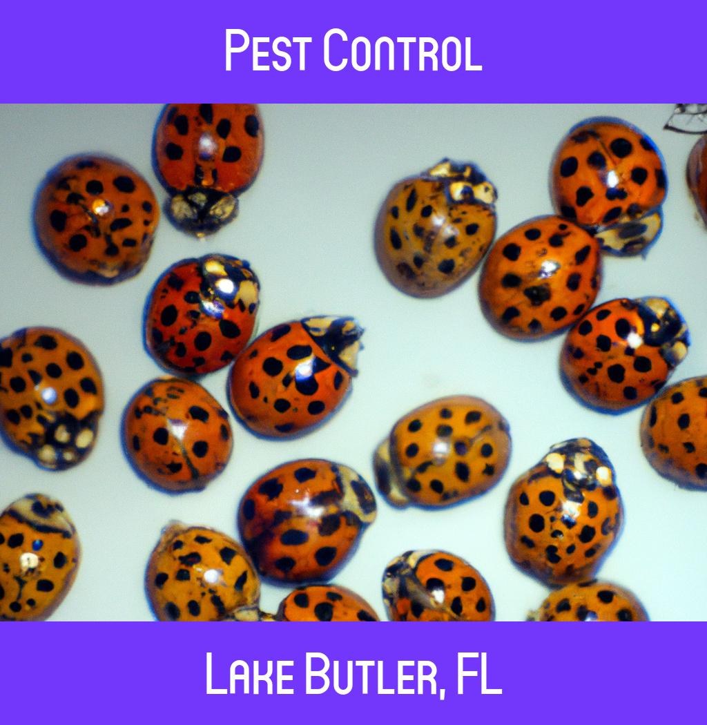 pest control in Lake Butler Florida