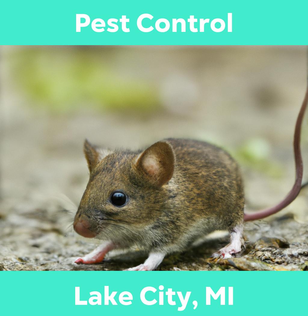 pest control in Lake City Michigan