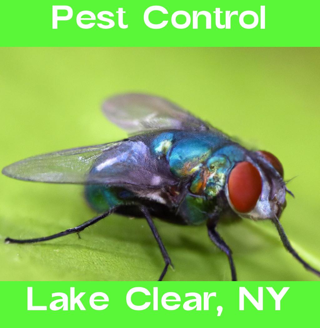 pest control in Lake Clear New York