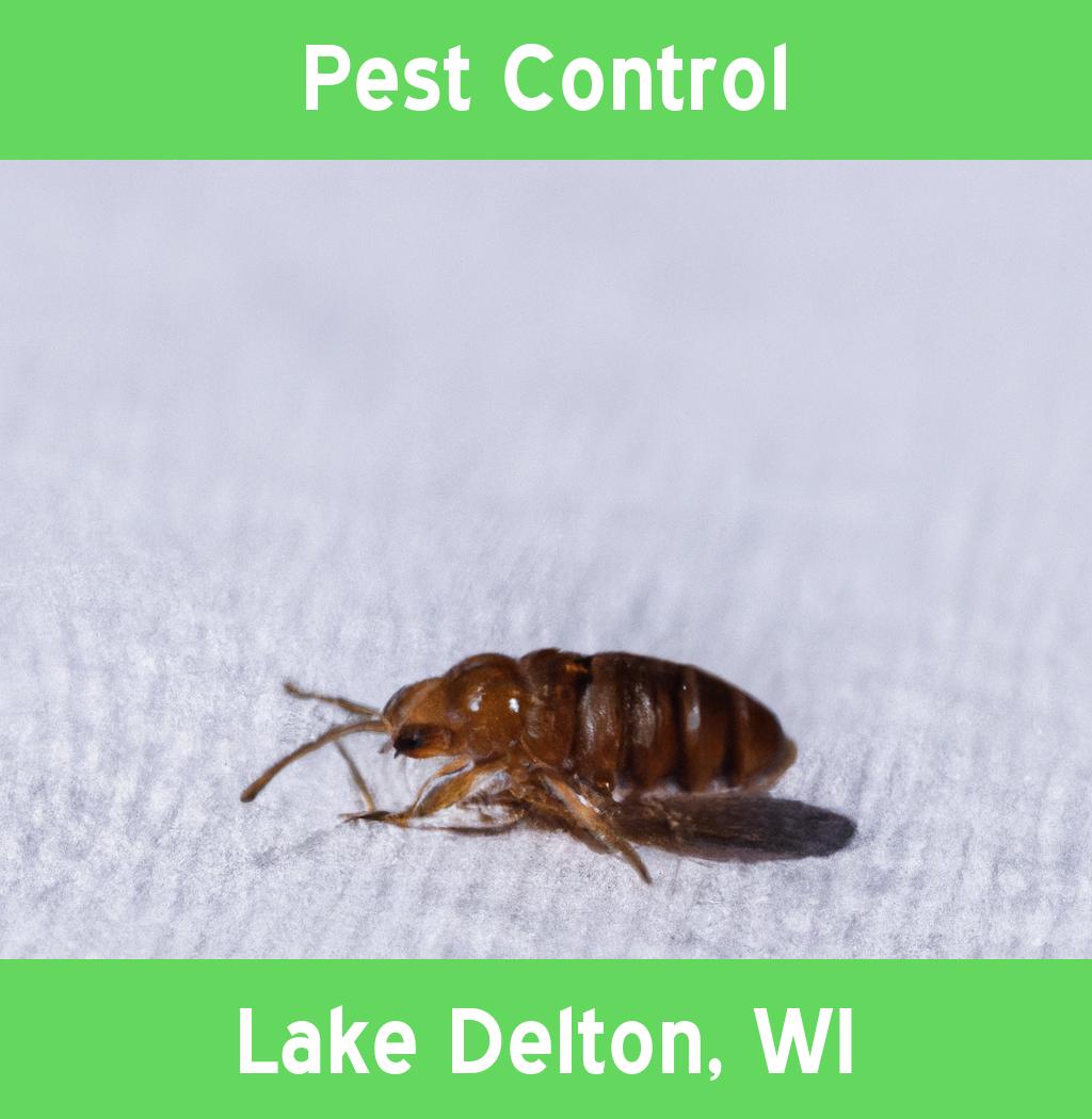 pest control in Lake Delton Wisconsin