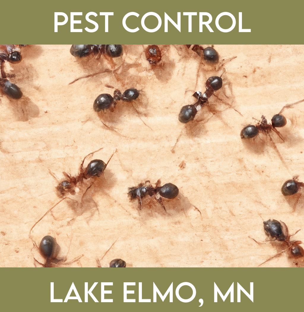 pest control in Lake Elmo Minnesota