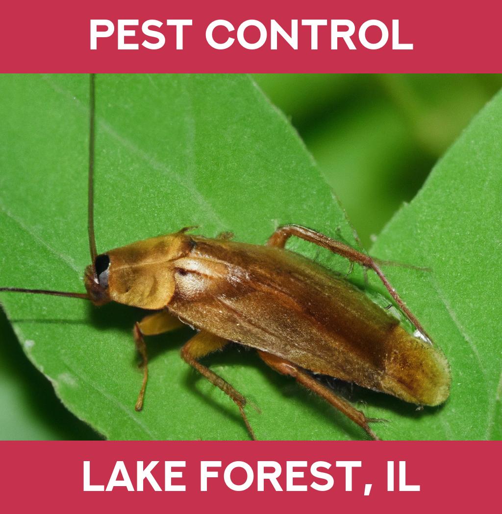pest control in Lake Forest Illinois