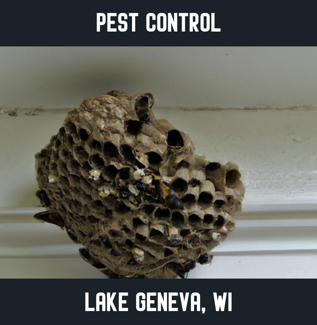 pest control in Lake Geneva Wisconsin