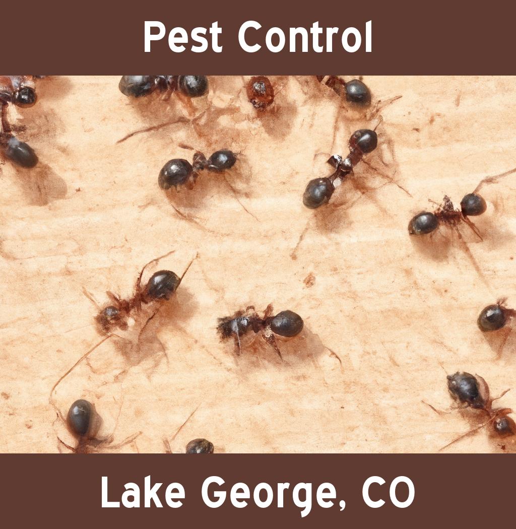 pest control in Lake George Colorado