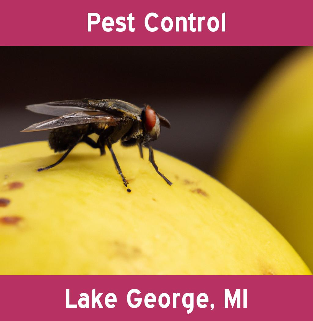 pest control in Lake George Michigan