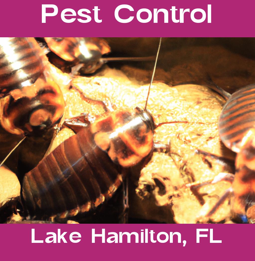 pest control in Lake Hamilton Florida