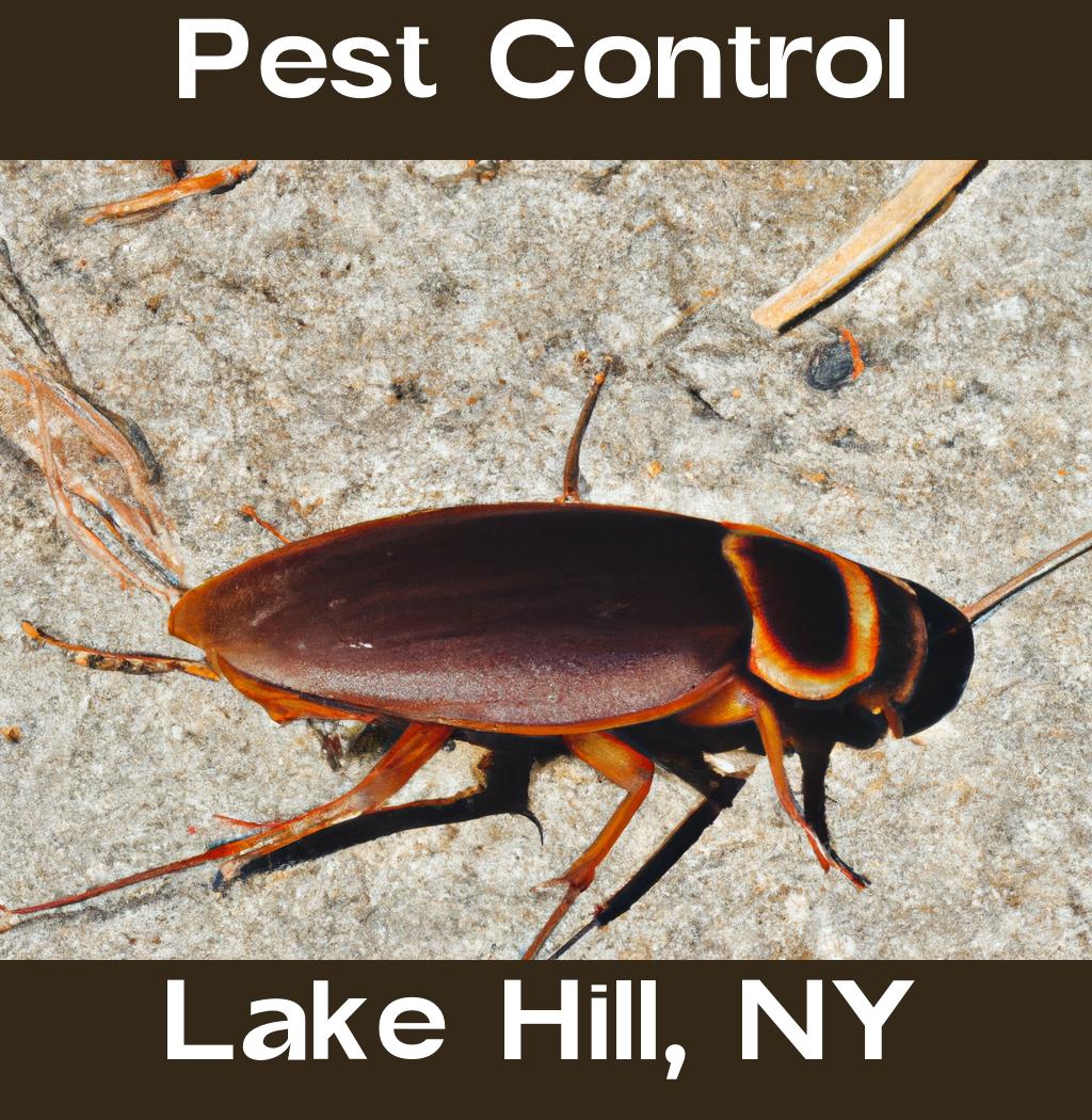 pest control in Lake Hill New York