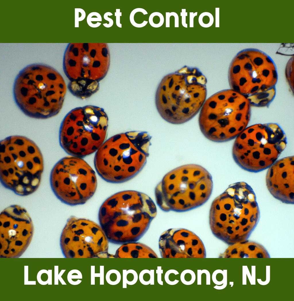 pest control in Lake Hopatcong New Jersey