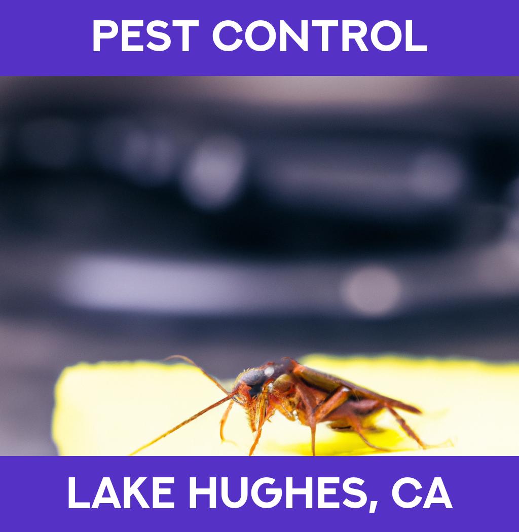 pest control in Lake Hughes California