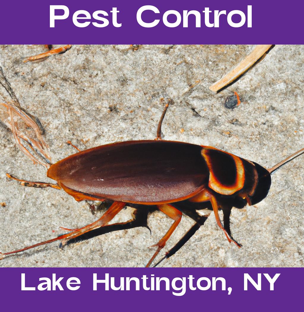 pest control in Lake Huntington New York
