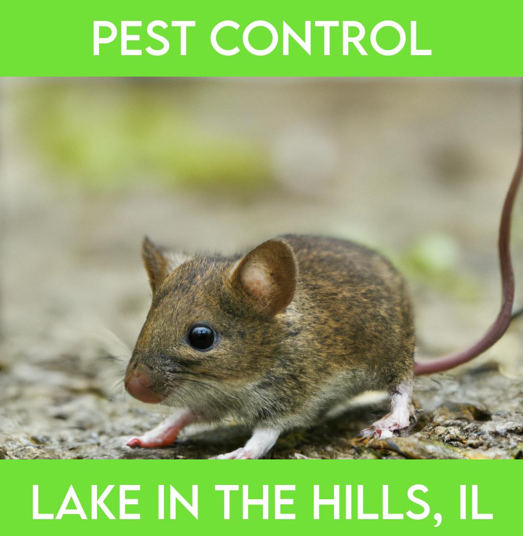 pest control in Lake In The Hills Illinois