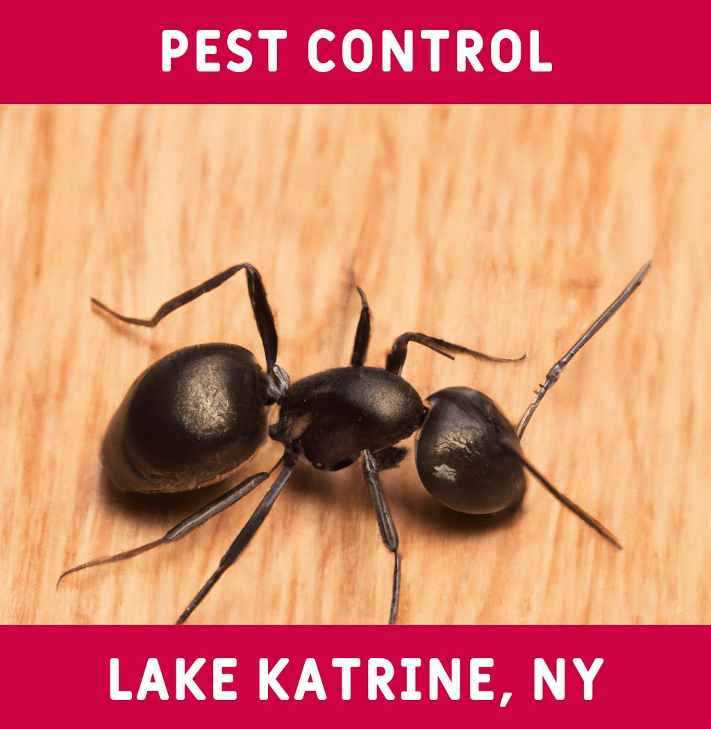 pest control in Lake Katrine New York