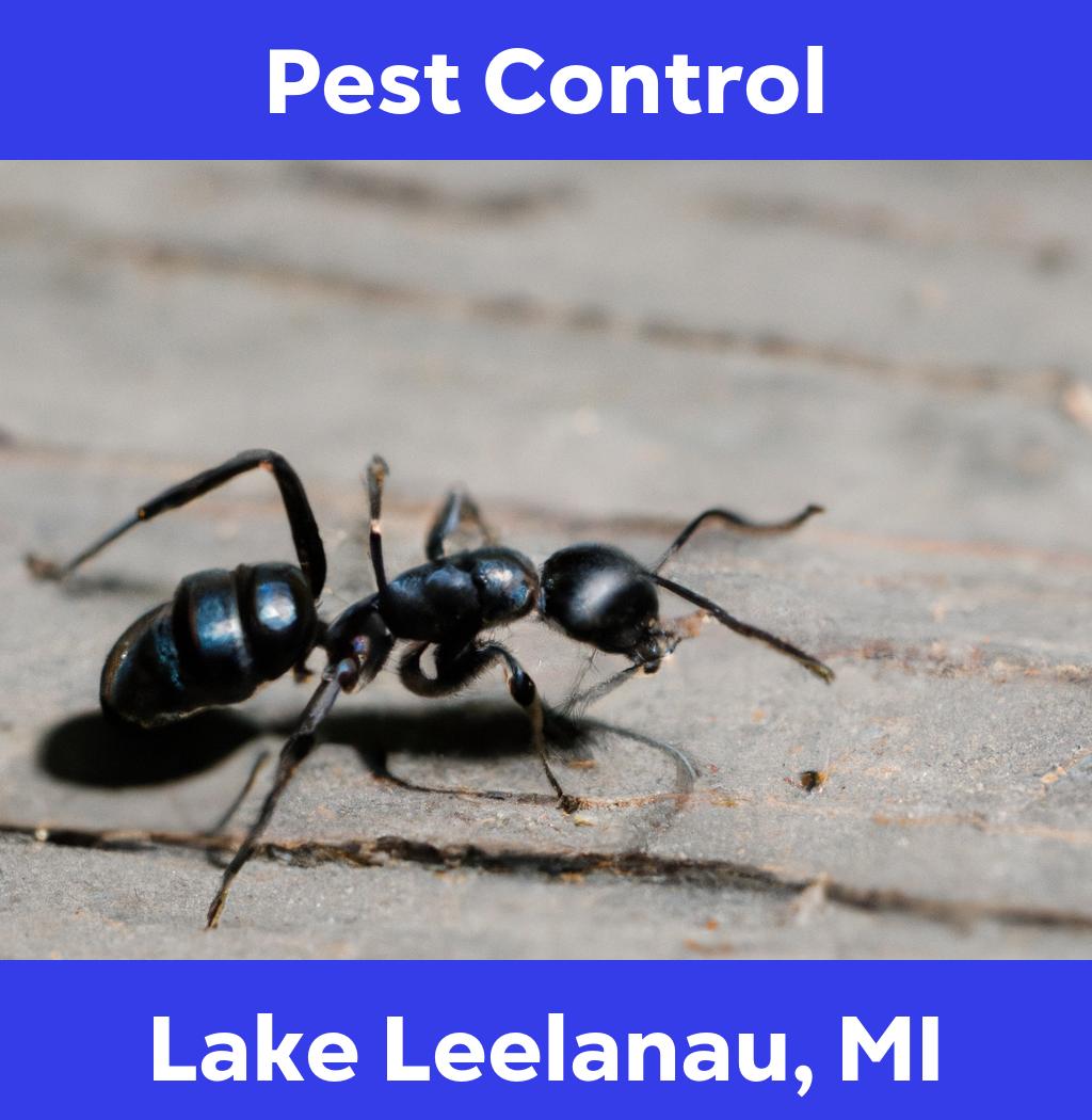 pest control in Lake Leelanau Michigan