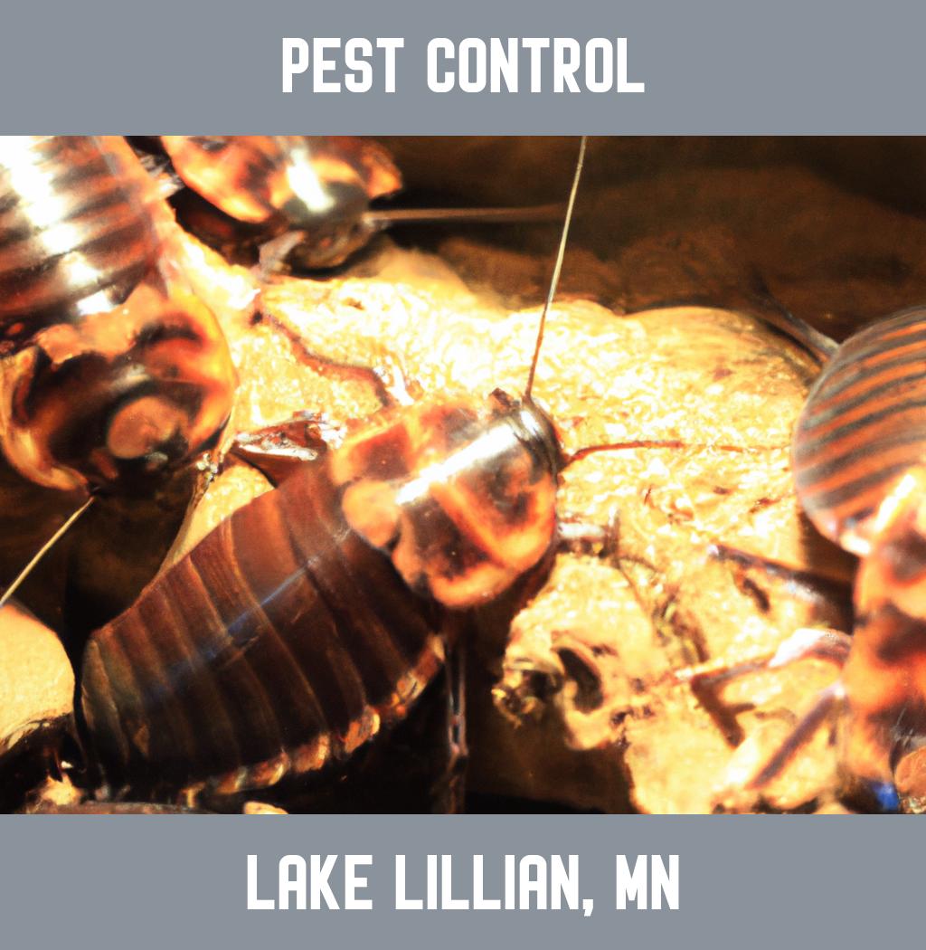 pest control in Lake Lillian Minnesota