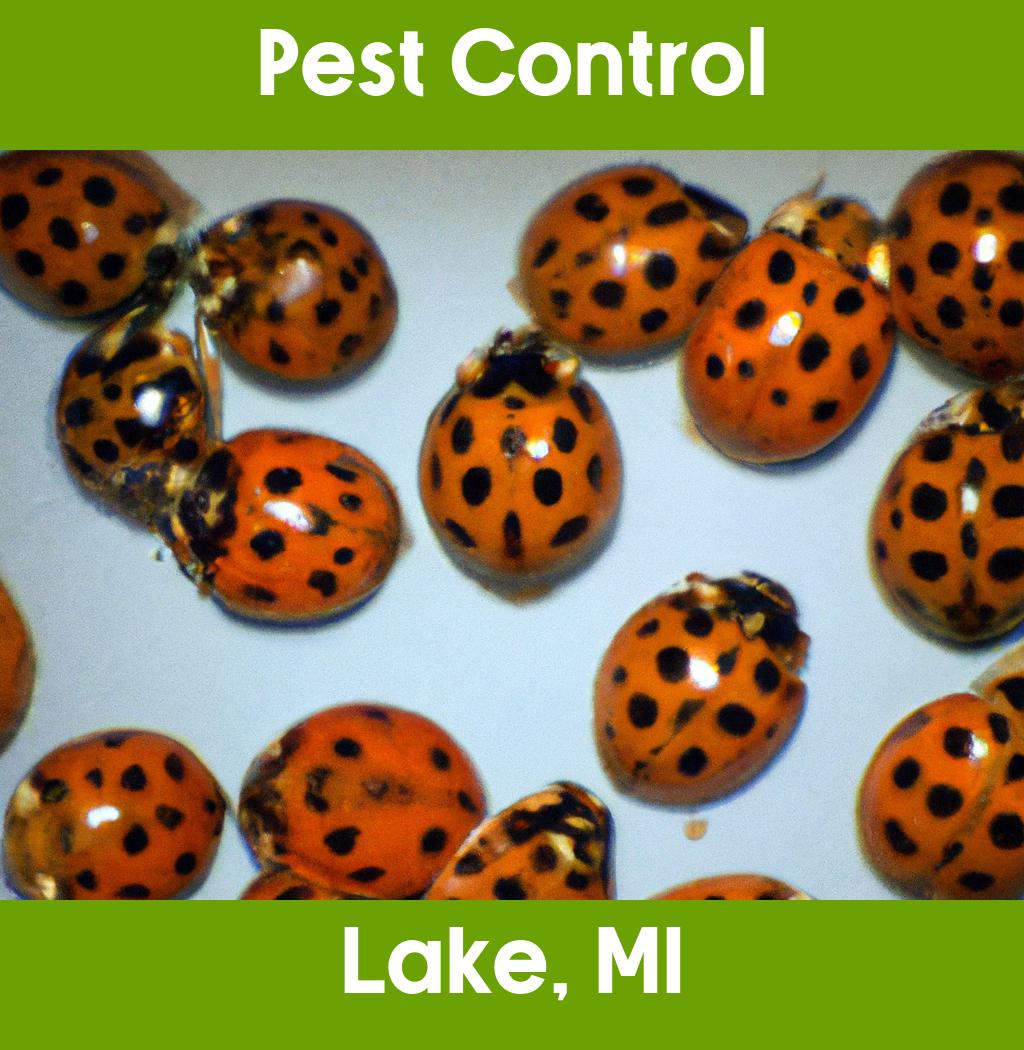 pest control in Lake Michigan