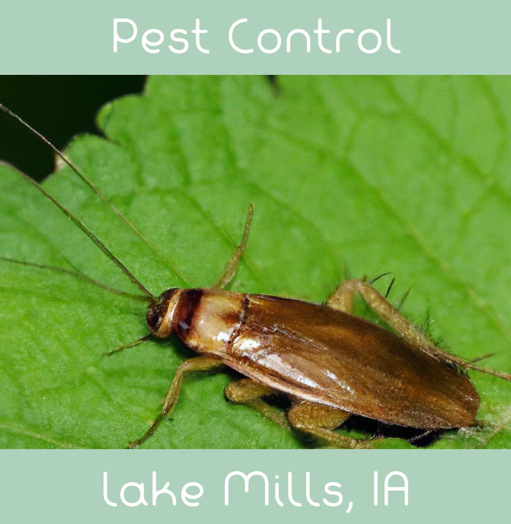 pest control in Lake Mills Iowa