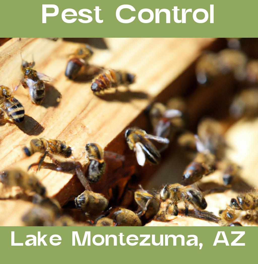 pest control in Lake Montezuma Arizona