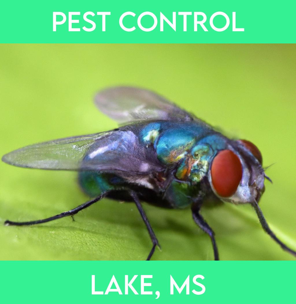 pest control in Lake Mississippi