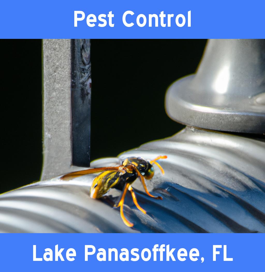 pest control in Lake Panasoffkee Florida