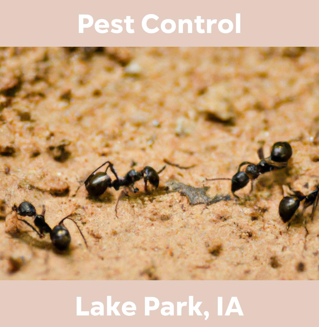 pest control in Lake Park Iowa