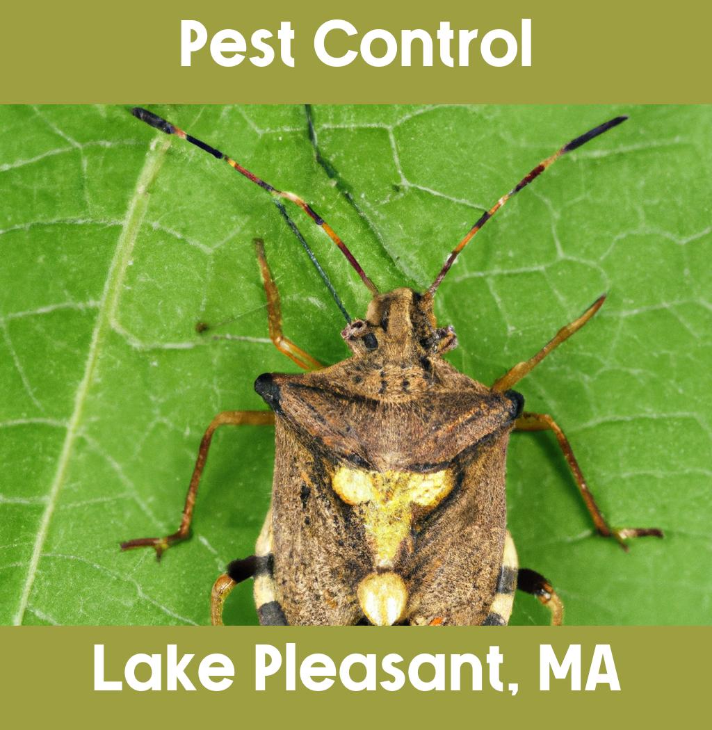 pest control in Lake Pleasant Massachusetts
