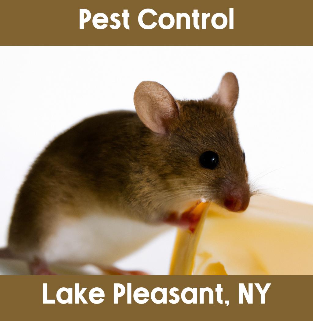 pest control in Lake Pleasant New York