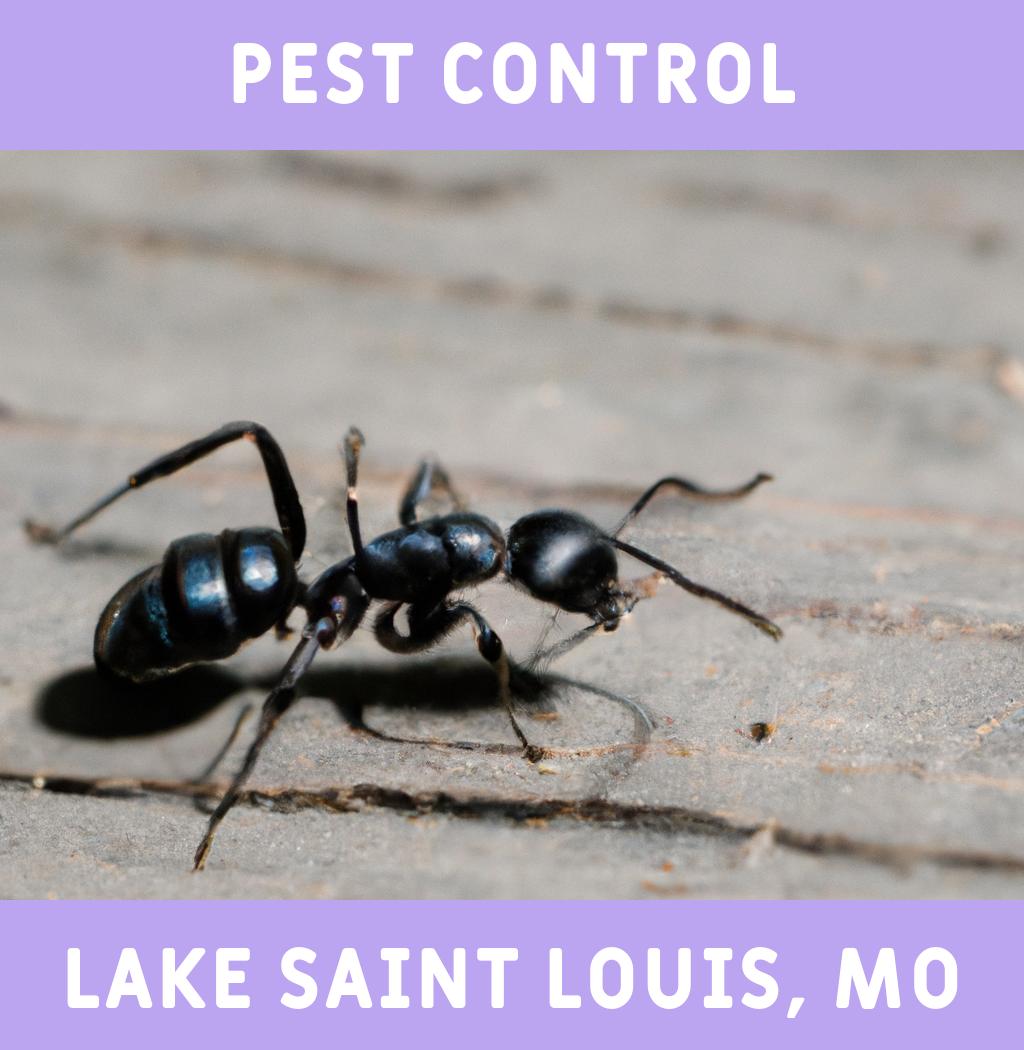 pest control in Lake Saint Louis Missouri