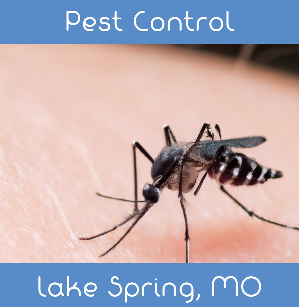 pest control in Lake Spring Missouri