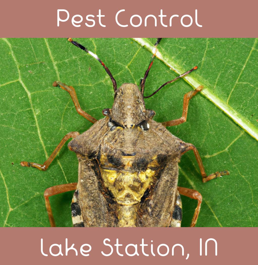 pest control in Lake Station Indiana