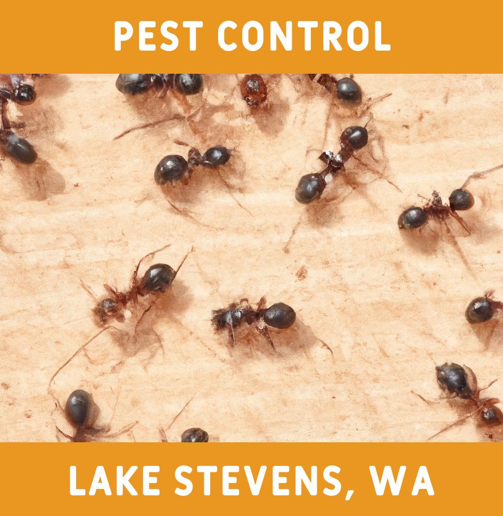 pest control in Lake Stevens Washington