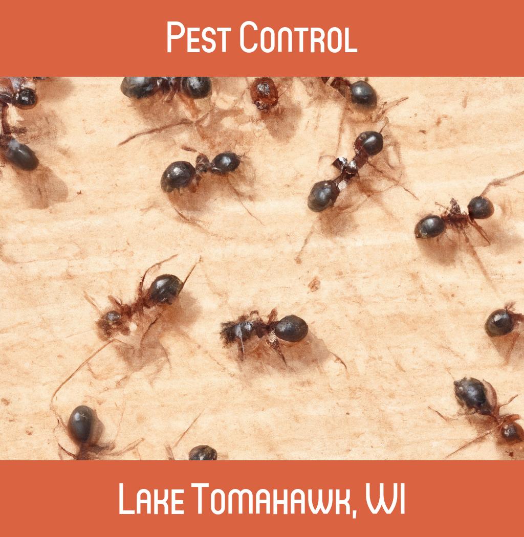 pest control in Lake Tomahawk Wisconsin