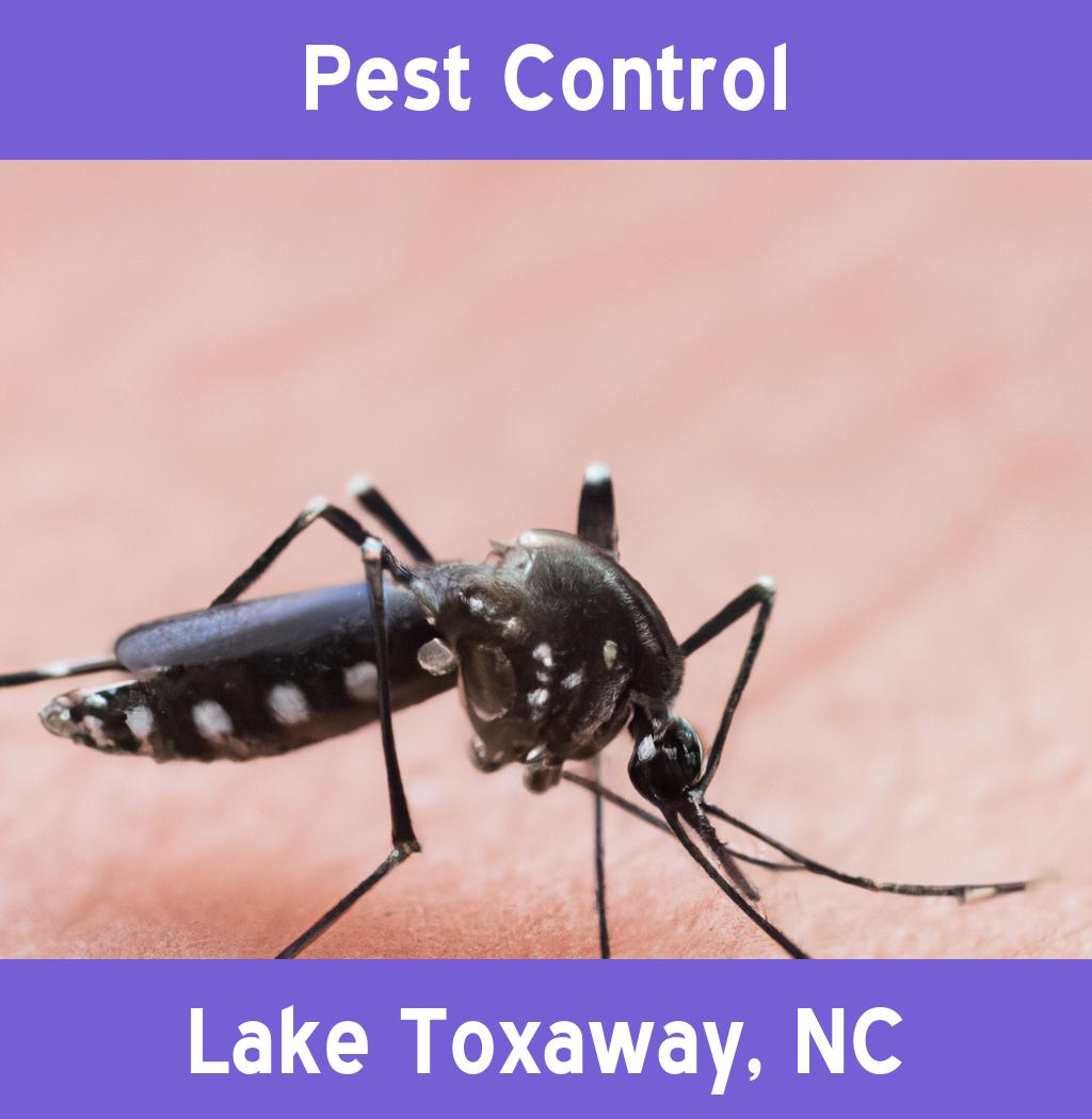 pest control in Lake Toxaway North Carolina