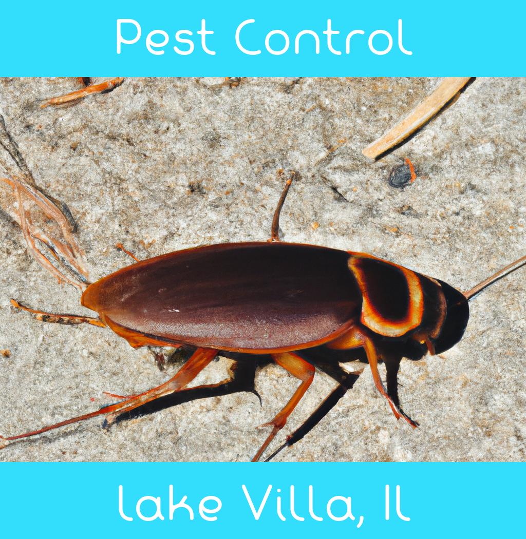 pest control in Lake Villa Illinois