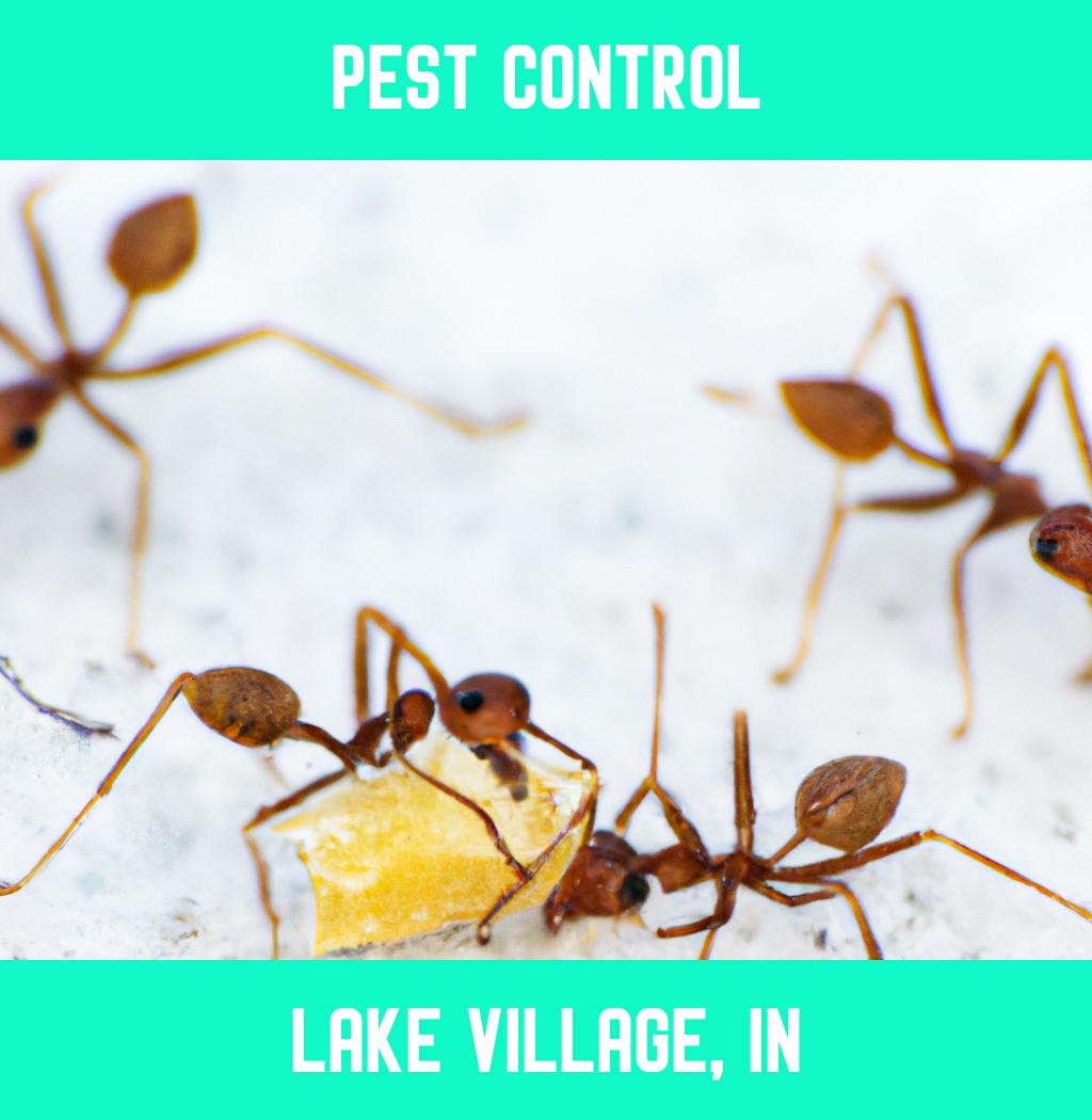 pest control in Lake Village Indiana