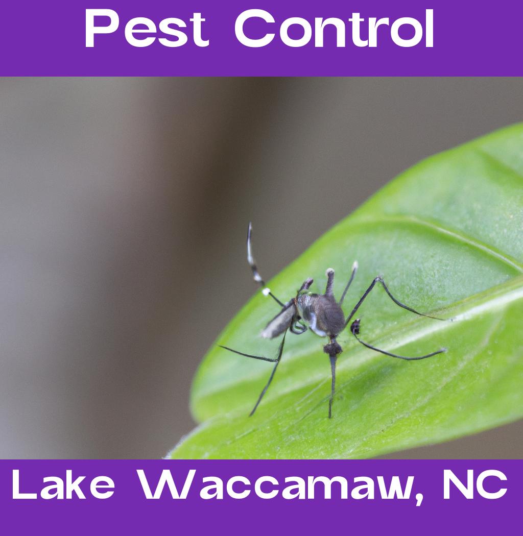 pest control in Lake Waccamaw North Carolina