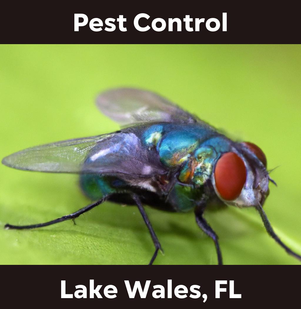pest control in Lake Wales Florida