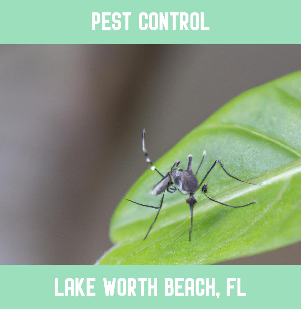 pest control in Lake Worth Beach Florida