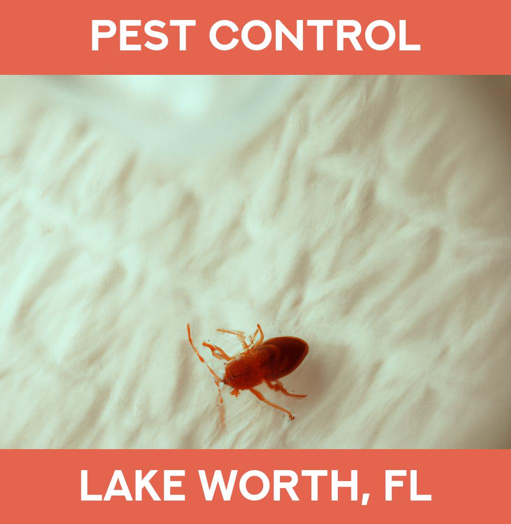 pest control in Lake Worth Florida