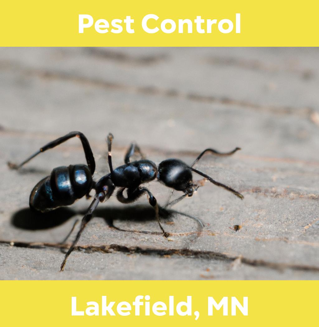 pest control in Lakefield Minnesota