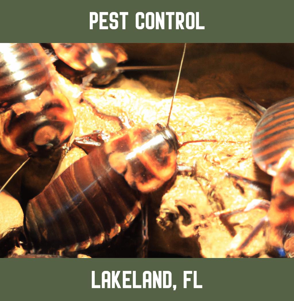 pest control in Lakeland Florida