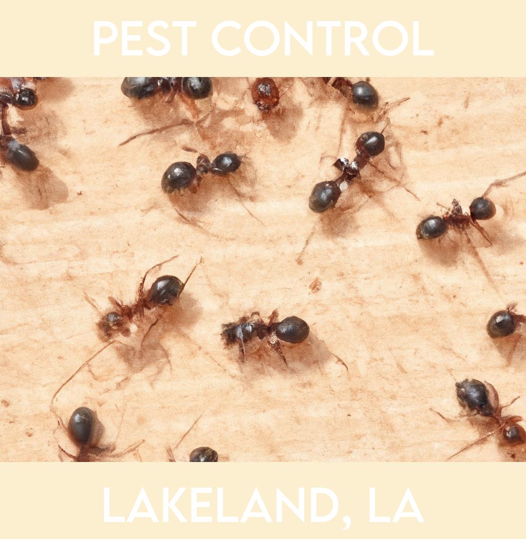 pest control in Lakeland Louisiana