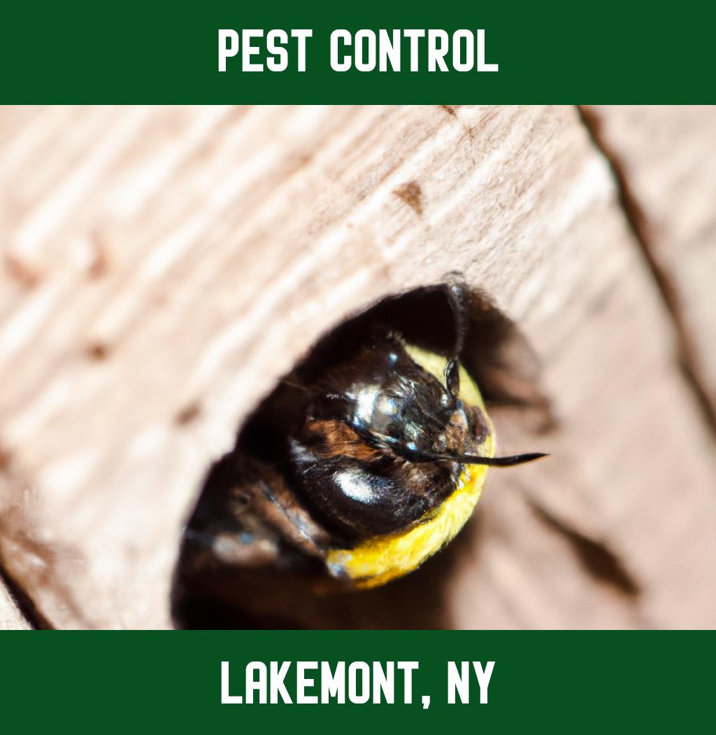 pest control in Lakemont New York